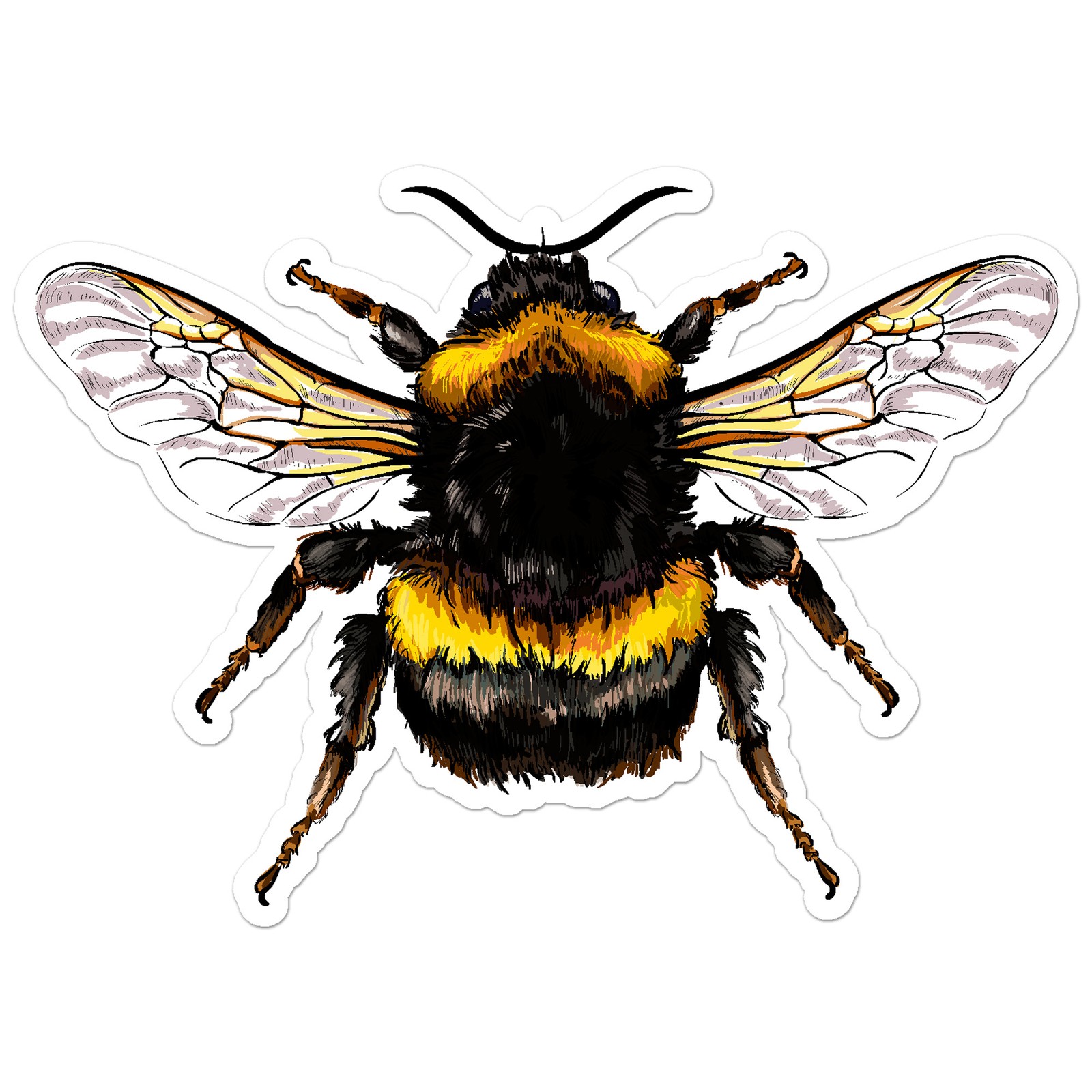 Bumble Bee – Vinyl Decal Sticker – Car Window Laptop – ebn8639