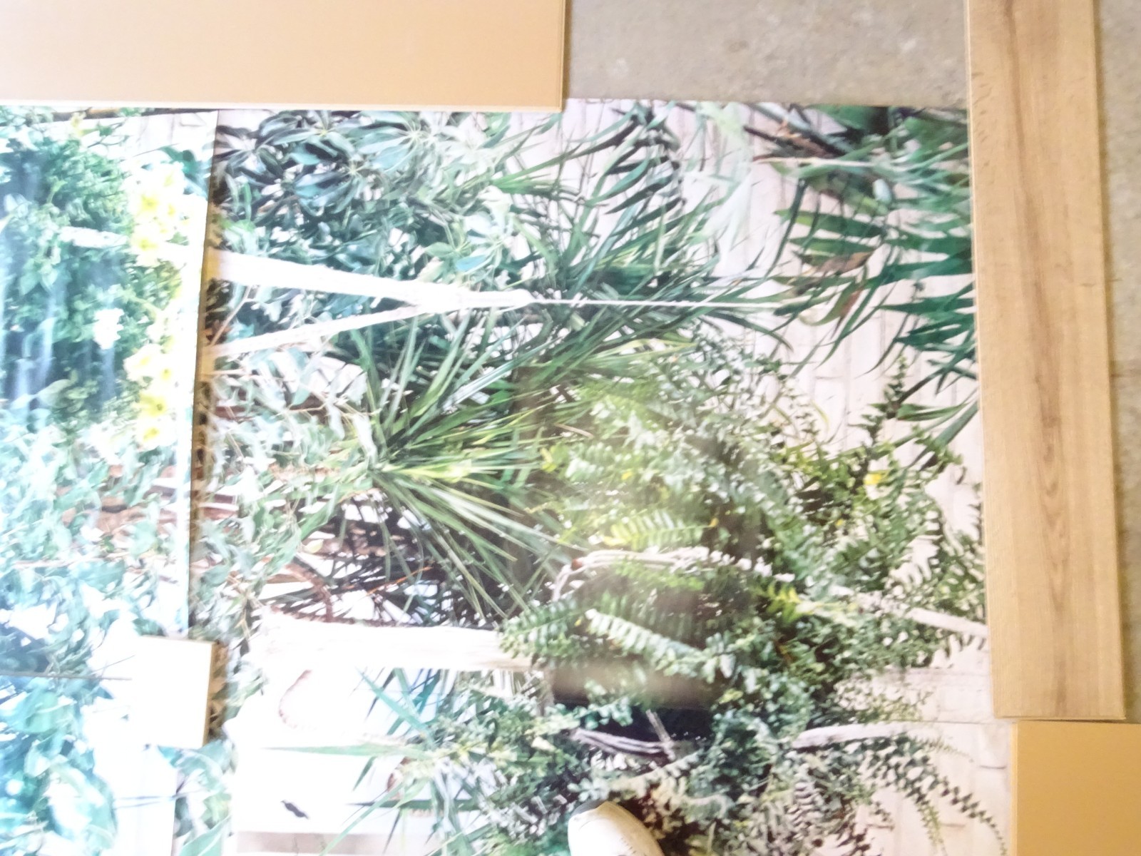 Full Wall Size Mural Tropical Plants Huge Window 8’ 8” x 12’ 6” NOS 108 Sq Ft A