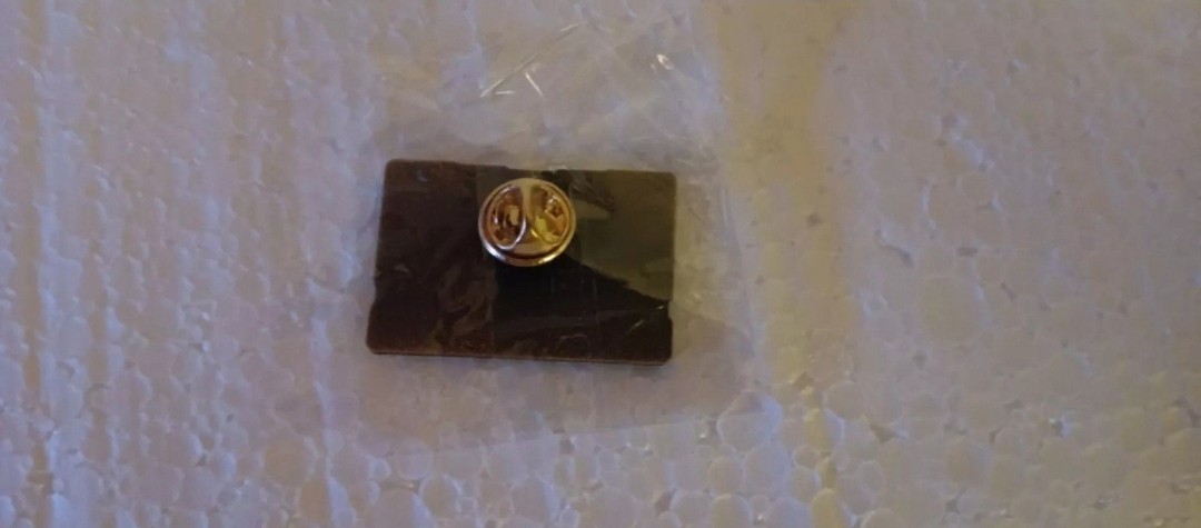 TRANSFORMERS SOUNDWAVE PIN