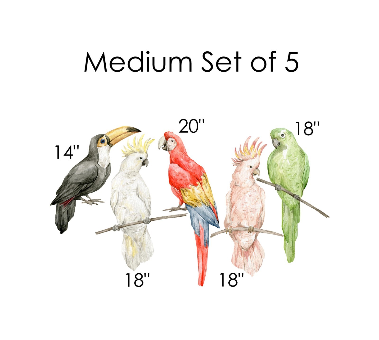 MEDIUM Tropical Rainforest Birds Wall Decal Set of 5 Jungle Safari Parrot Toucan