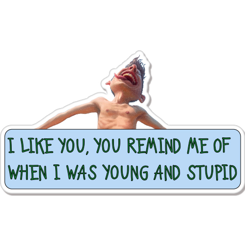 You Remind Me of When I Was Young and Stupid Funny car bumper sticker decal 6" x