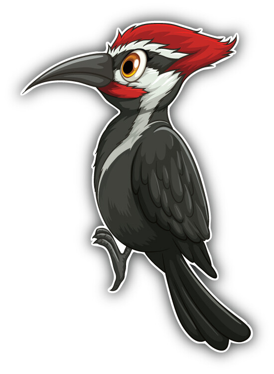 Cute Woodpecker Car Bumper Sticker Decal