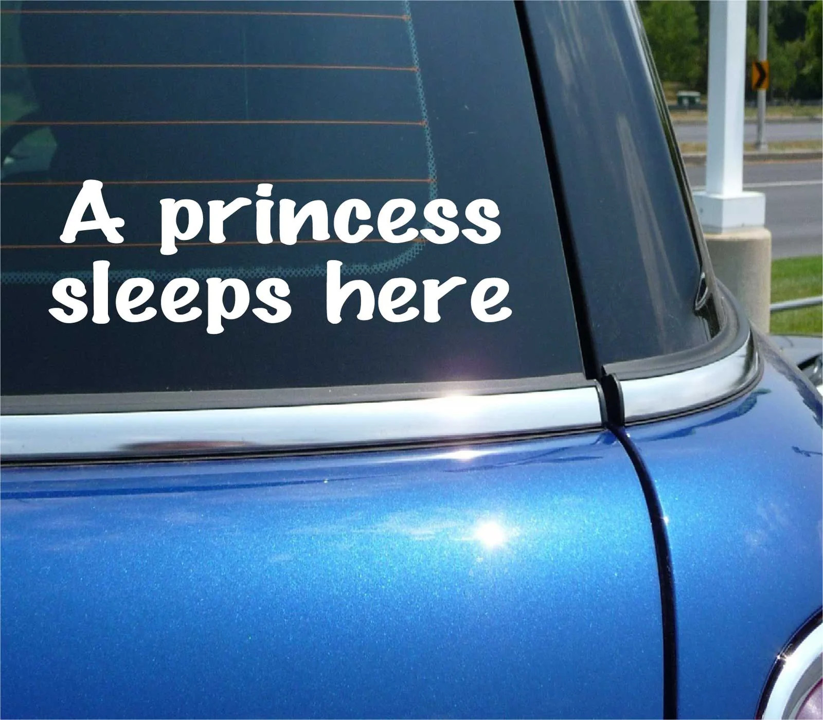 A PRINCESS SLEEPS HERE GIRL DAUGHTER BEDROOM FUNNY DECAL STICKER ART CAR WALL