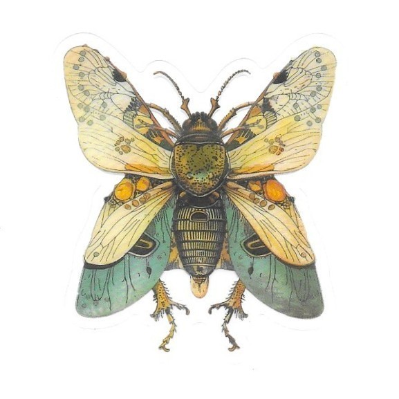 Victorian Cicada Beetle Transparent Vinyl Sticker Antique Insect Ephemera Art
