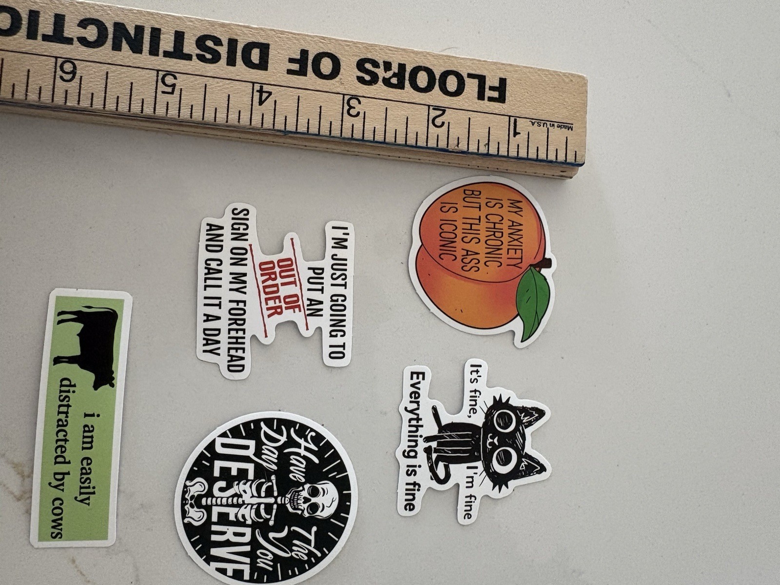 Set Of 5 Funny Quirky Sayings Stickers Skeletons Cats Words Quotes Sticker Lot