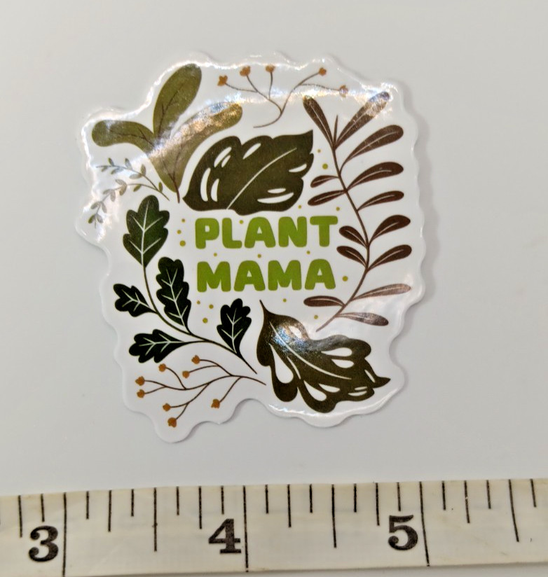 Plants-Succulent-Funny Humor Sarcastic Vinyl Sticker-Decal-NWOT-Free Shipping!