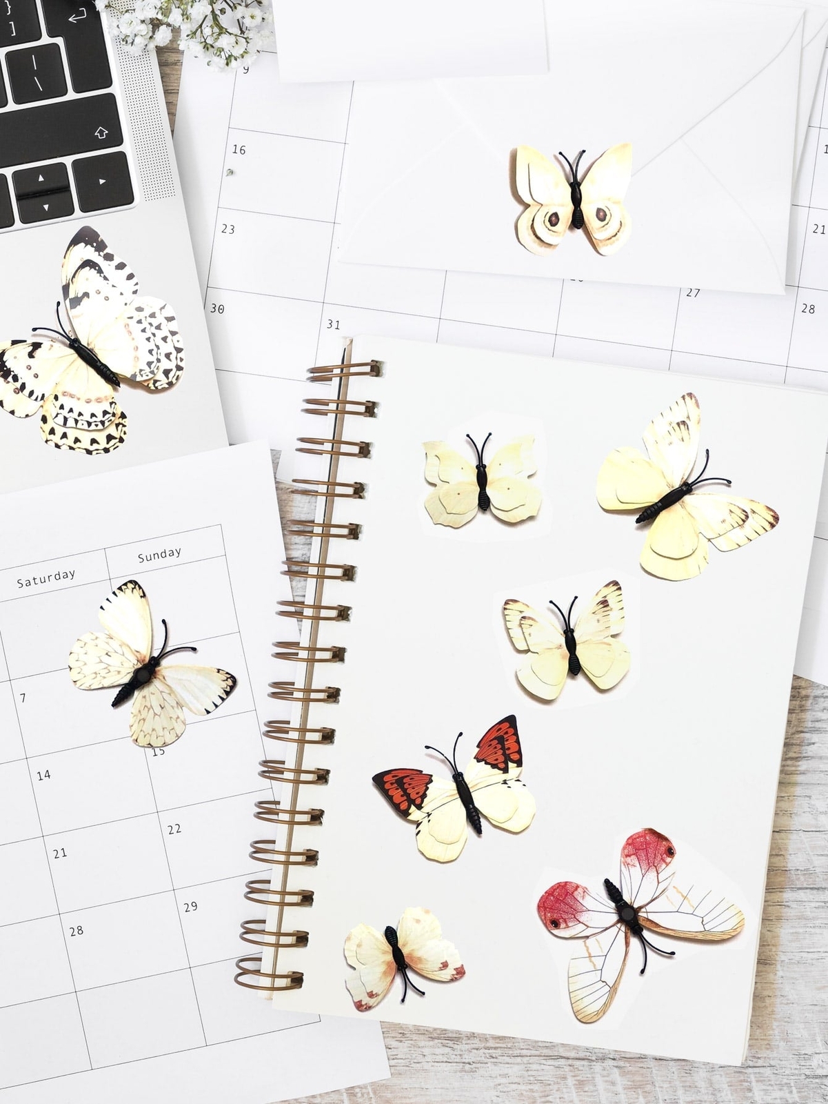 12pcs 3D Butterfly Sticker Ivory Wall Decals Butterflies Removable Mural Wall