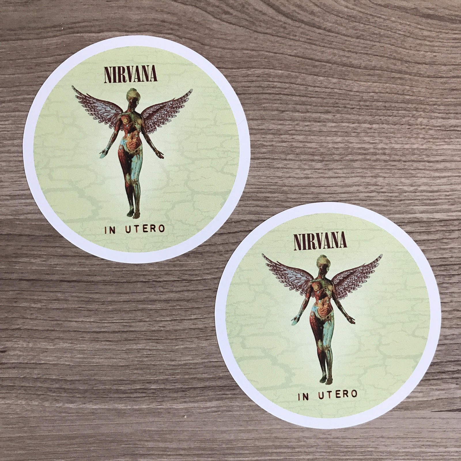 Nirvana In Utero 4" Wide Vinyl Sticker – BOGO