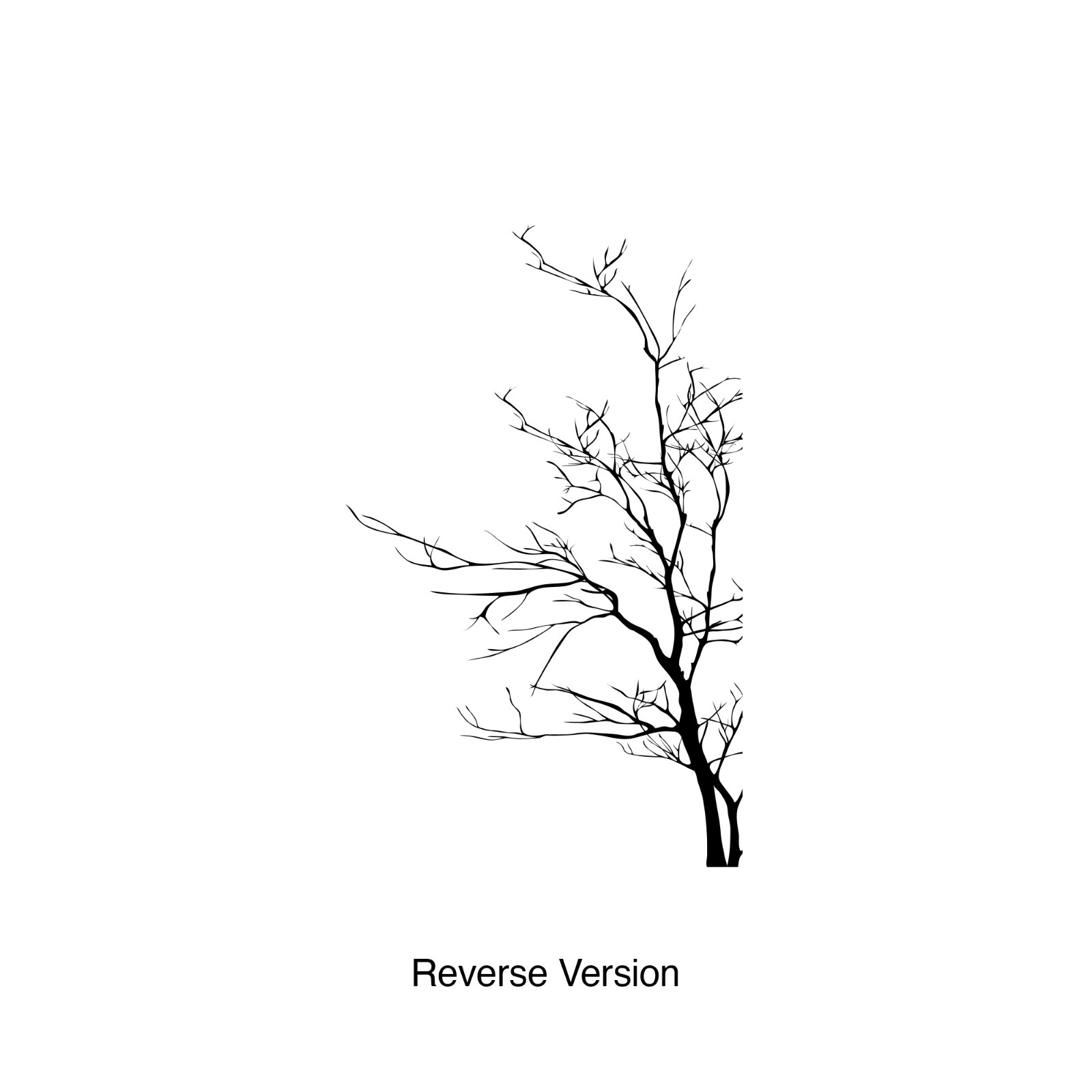 Large Bare Tree Vinyl Wall Decal Sticker. Bedroom, Bathroom Wall Art. #AC223