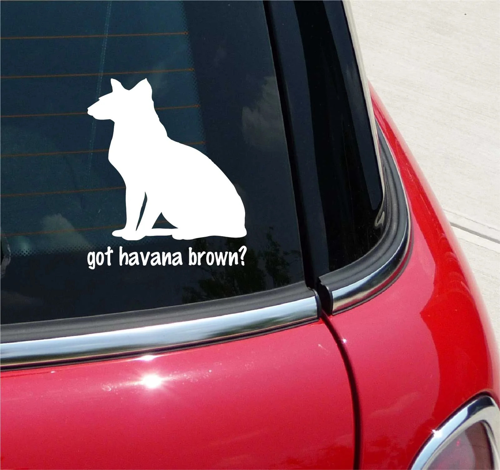 GOT HAVANA BROWN? CAT GRAPHIC DECAL STICKER ART CAR WALL