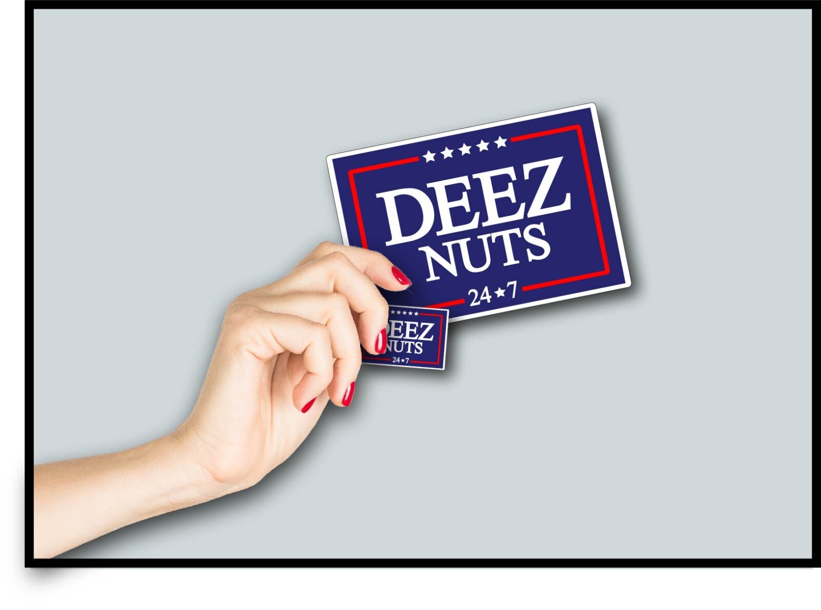 Deez Nuts 24 7 Decal Sticker Political Humor Anti Pro Trump MAGA Biden Vote USA