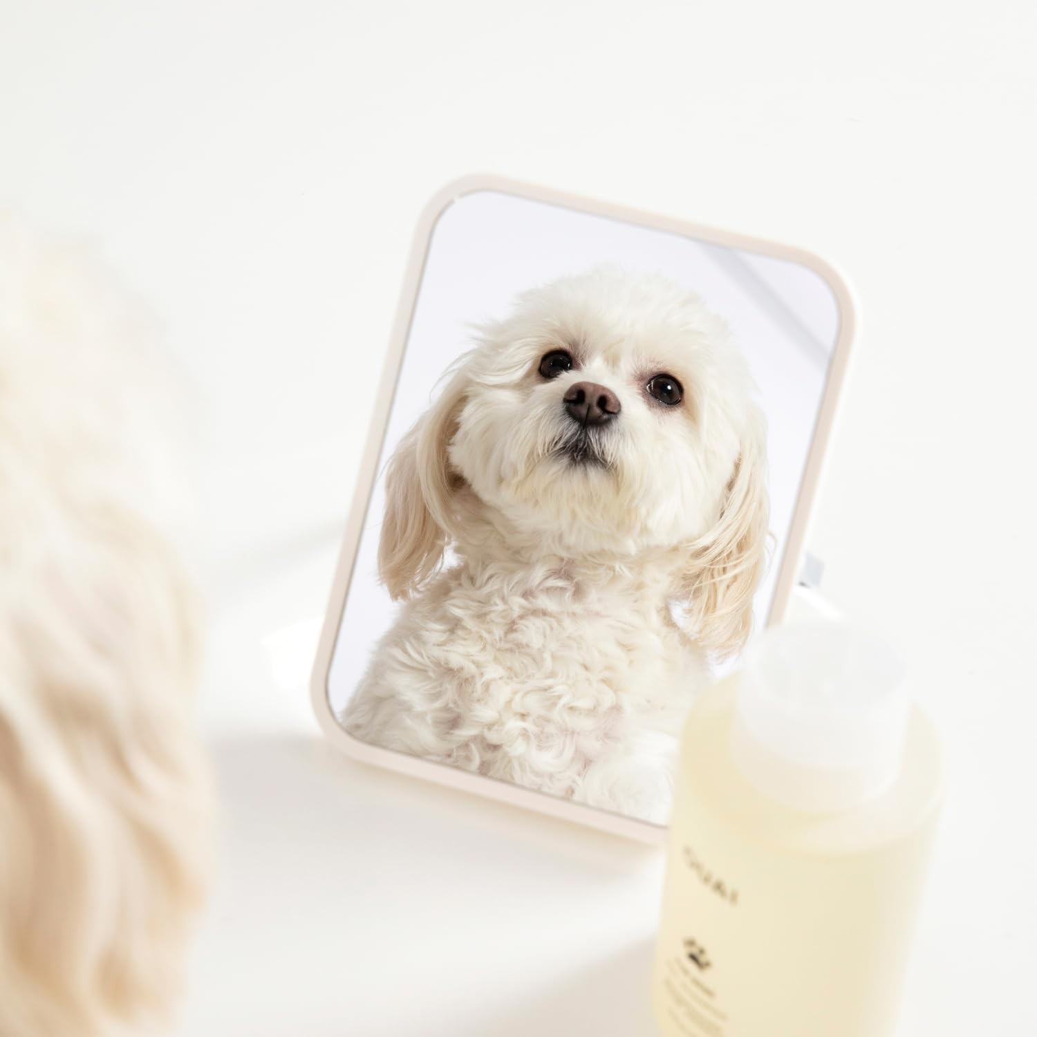 OUAI Fur Bébé Pet Shampoo – Cat & Dog for Gentle 16 Fl Oz (Pack of 1)
