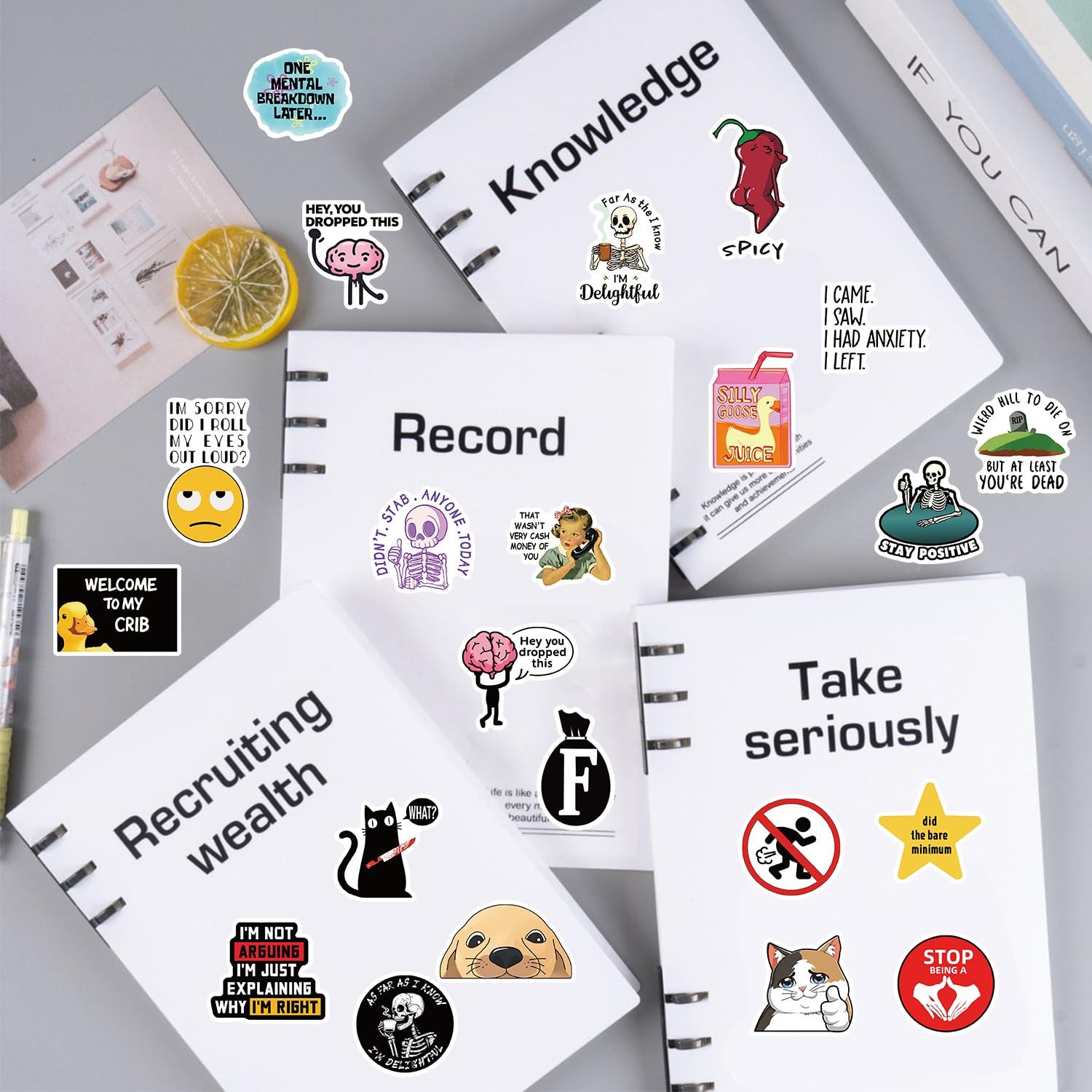 100pcs Funny Prank Meme Stickers Bulk, Snarky