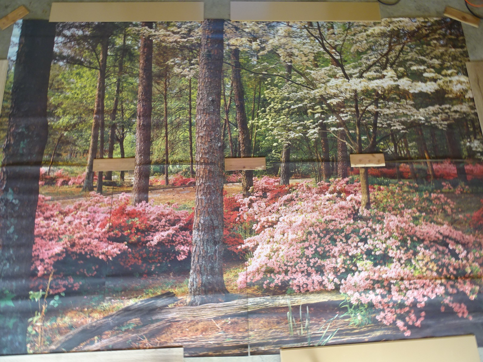 Full Wall Photo Mural Azaleas & Dogwoods Trees Railroad Track 8’ 8” x 12’ 6” NOS