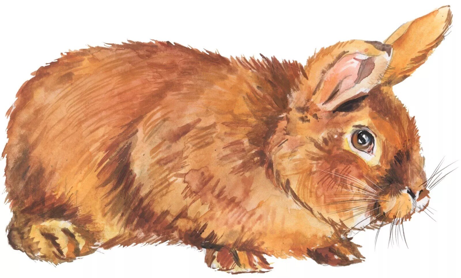 Brown Rabbit Bunny Sticker Decal