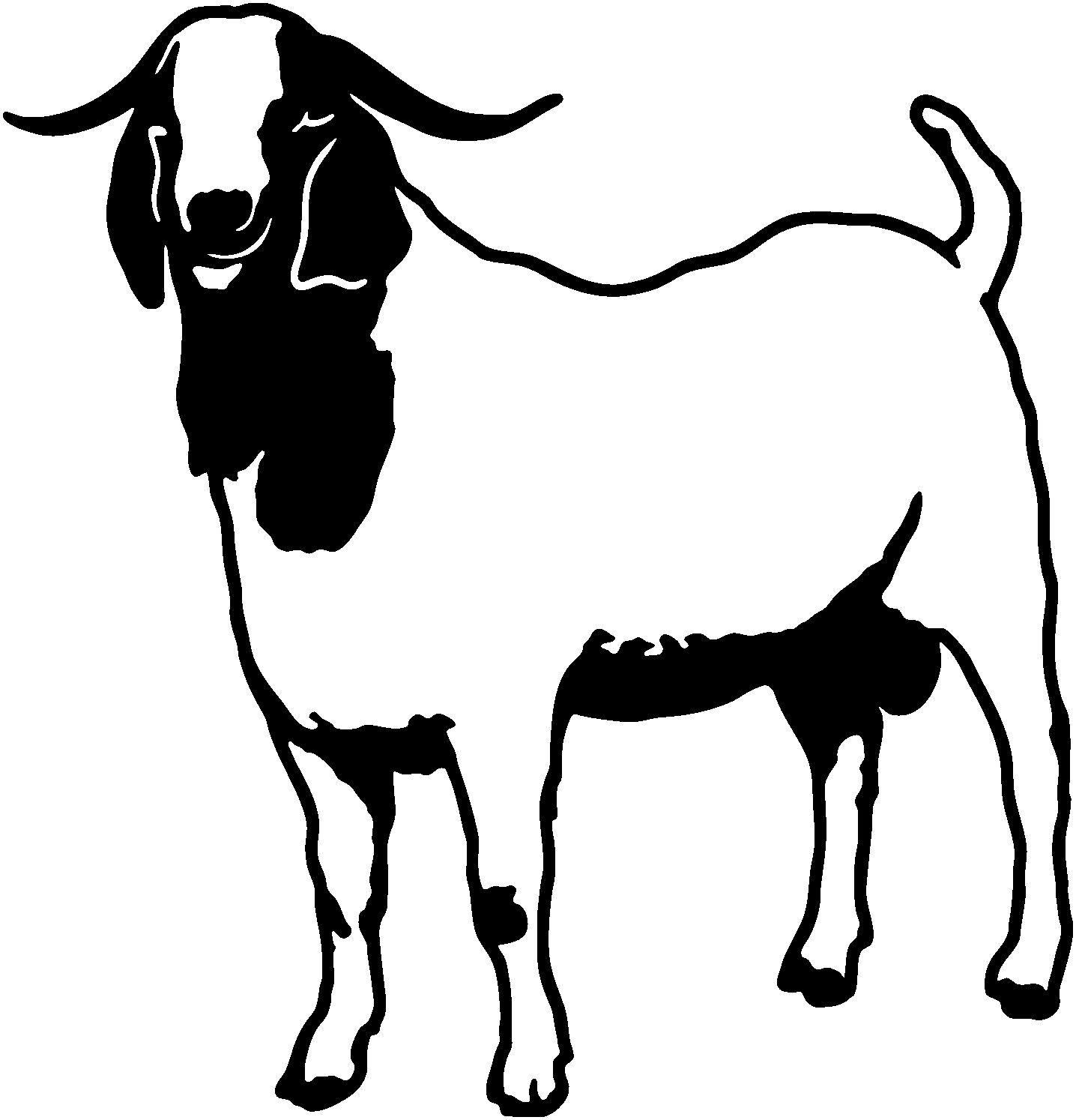 Boer Goat Decal STA-1= Farm Animal Window Sticker for most smooth surfaces