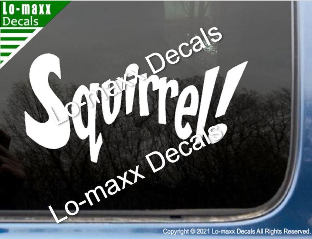 Squirrel! Funny Cute Original Custom Art High Performance Die Cut Vinyl Decal
