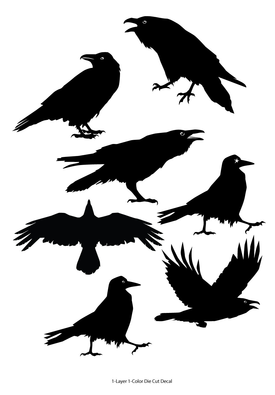 Wildlife/Birds – 7 Ravens/Crows/Corvids Decals – 6Yrs Outdoor Vinyl Film Sticker