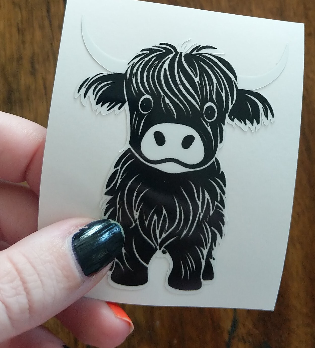 3" Highland Cow B&W Decal Vinyl Sticker Ranch Cottage Core Longhorn Cattle
