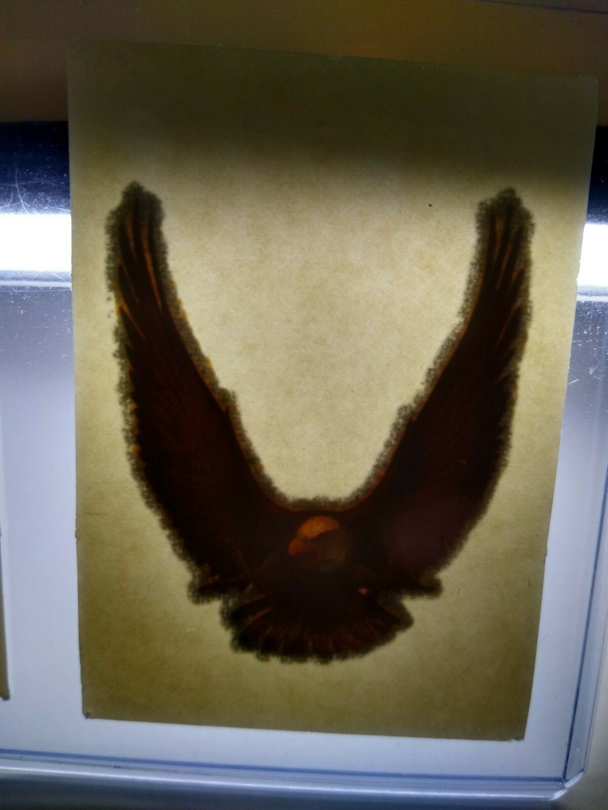Screamin Gleamin Glitter Iron-On Transfer Decal Donruss 1970s Chevy Camaro Eagle
