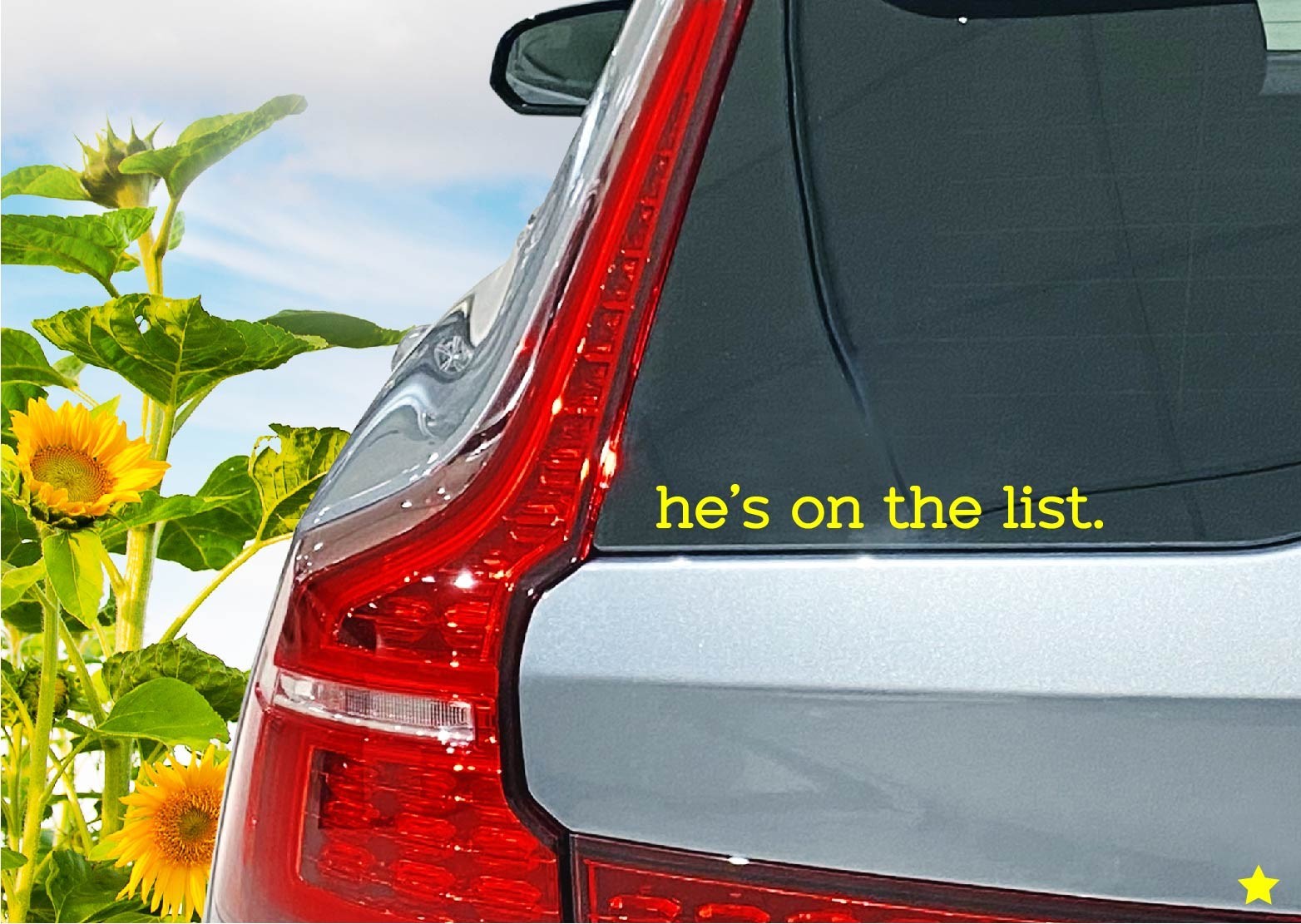 hes on the list Decal Sticker Anti MAGA Trump Democrat Release the Names No King