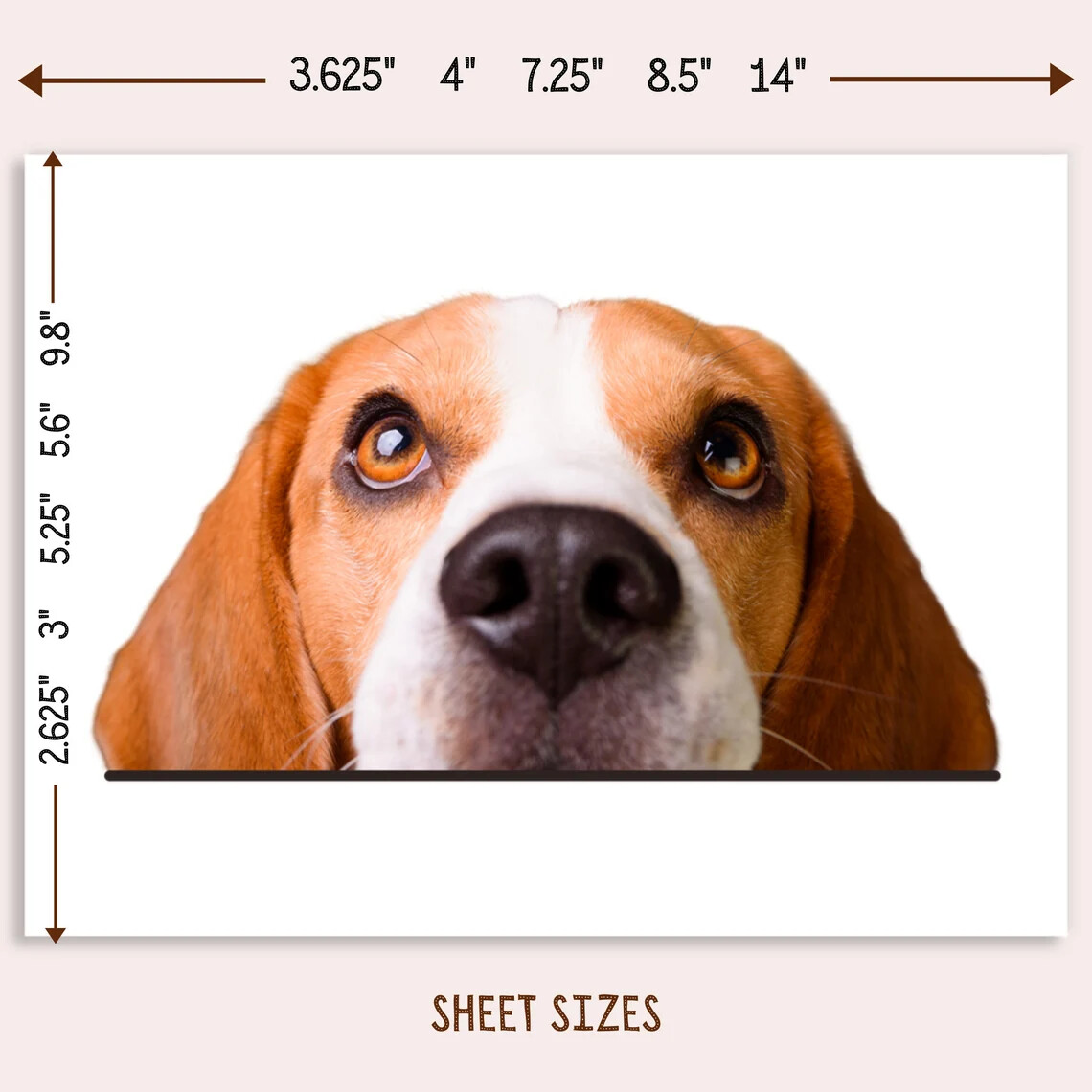Peeking Beagle Car Sticker / Realistic Dog Head Vinyl Waterproof Removable Decal