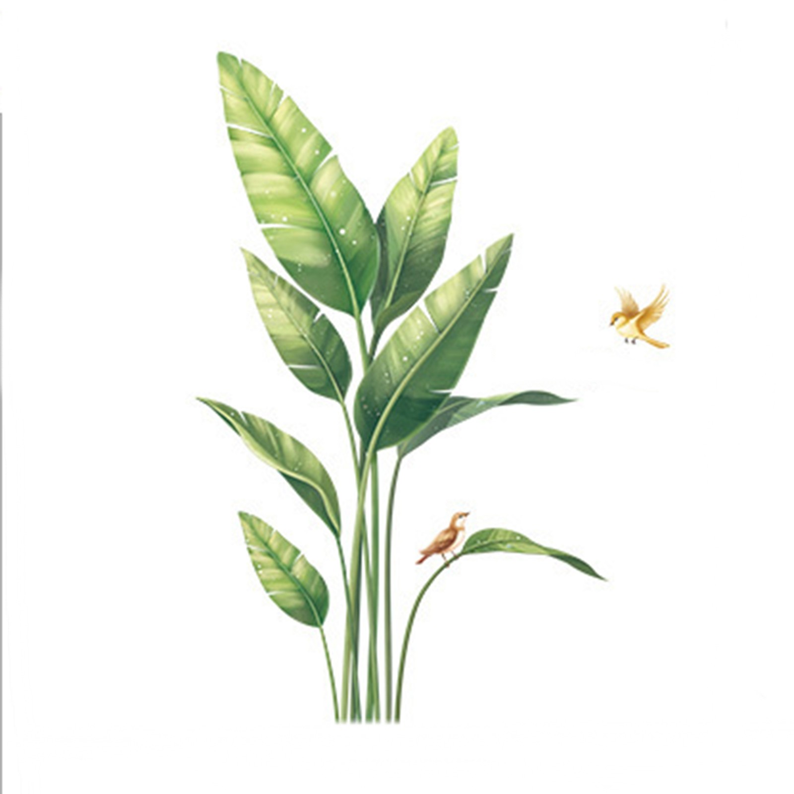 GREEN Tropical Plants with Birds Removable PVC WALL STICKER Bedroom Dorm Room