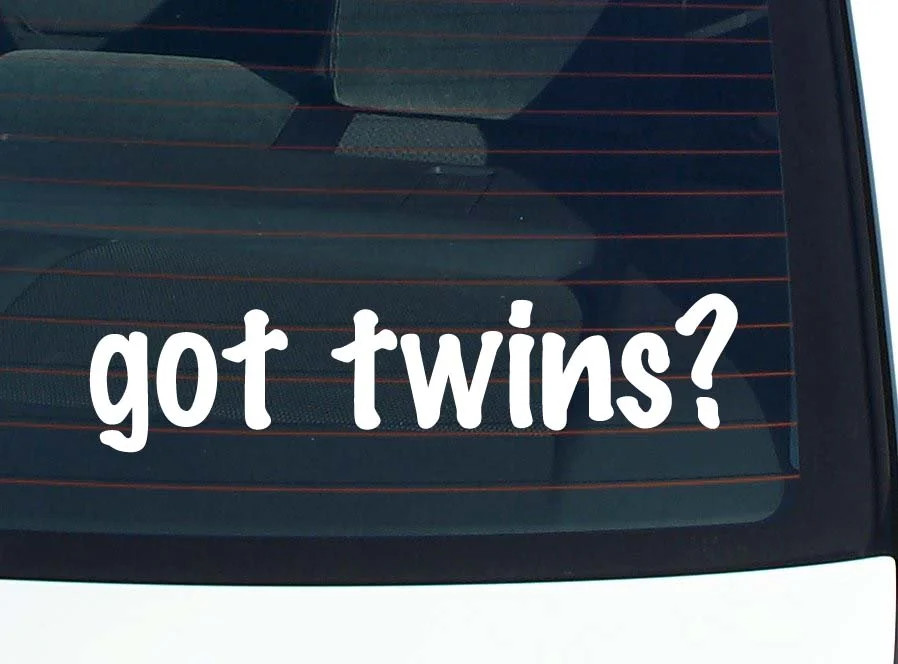got twins? CAR DECAL BUMPER STICKER VINYL FUNNY JOKE WINDOW