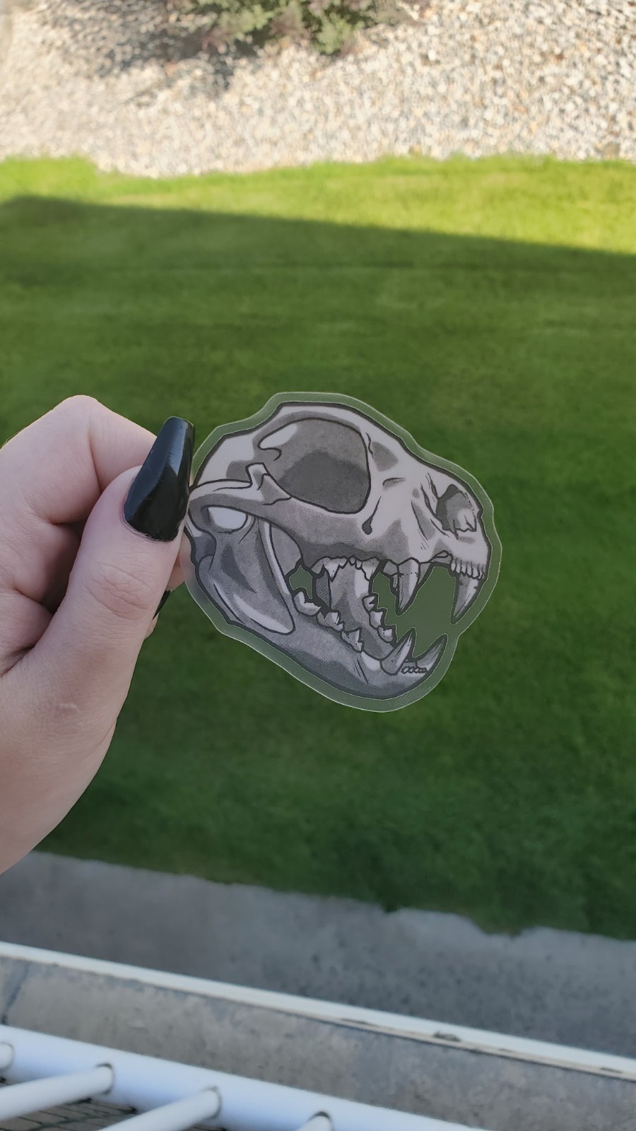 Cat Skull Sticker 6cm x 7cm, Original Art, Matte Finish, Transparent Background