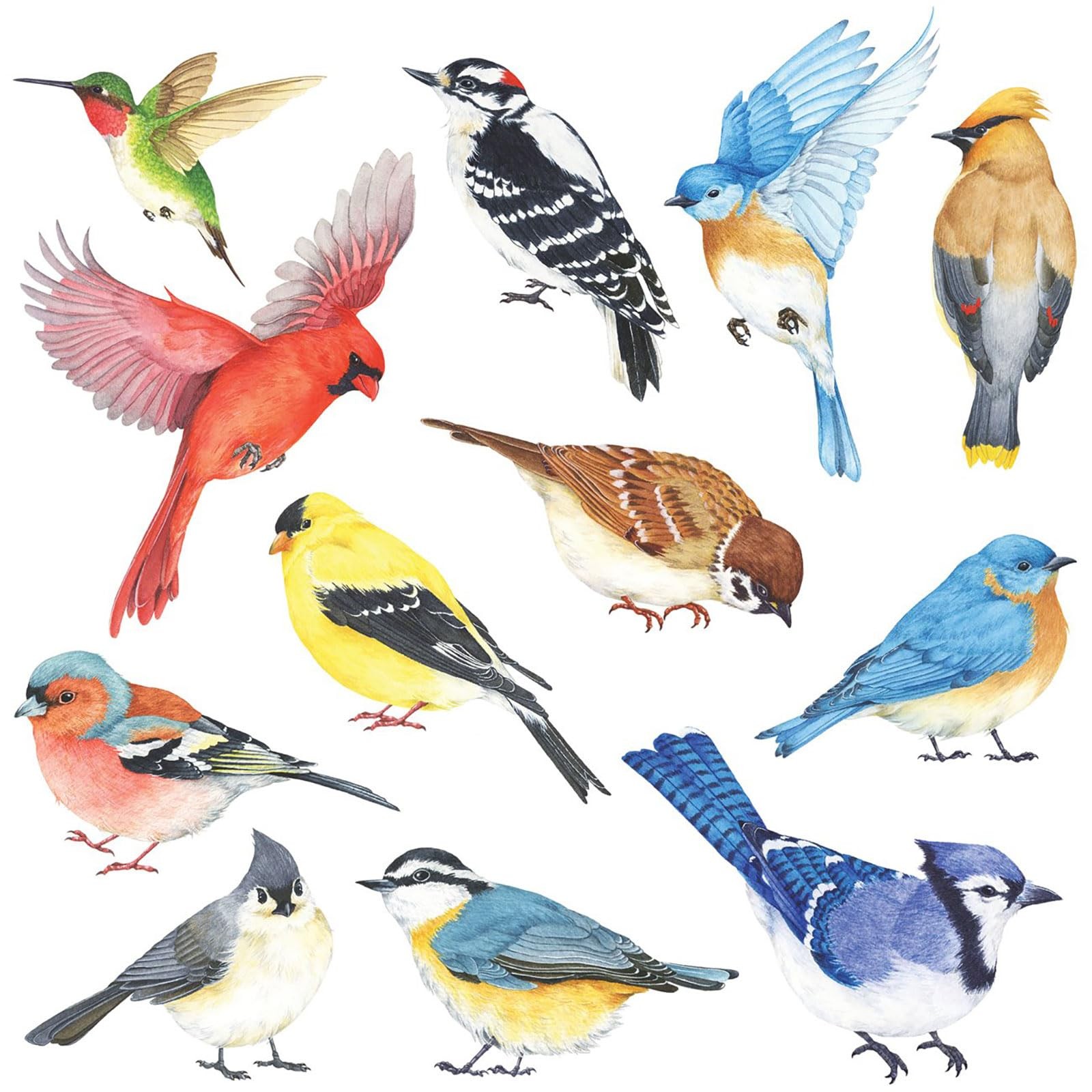 DECOWALL DS2-8042 Little Birds Wall Stickers 2 Count (Pack of 1), 8042