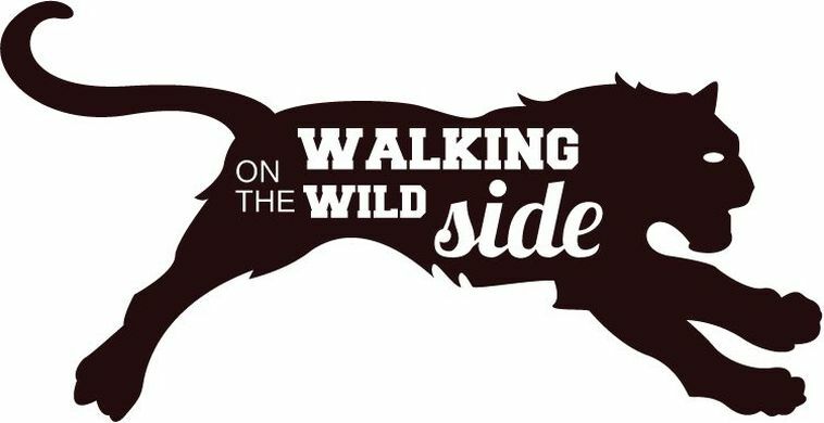 Puma On The Walking Wild Side Hunting Sticker Decal Design "SIZES"