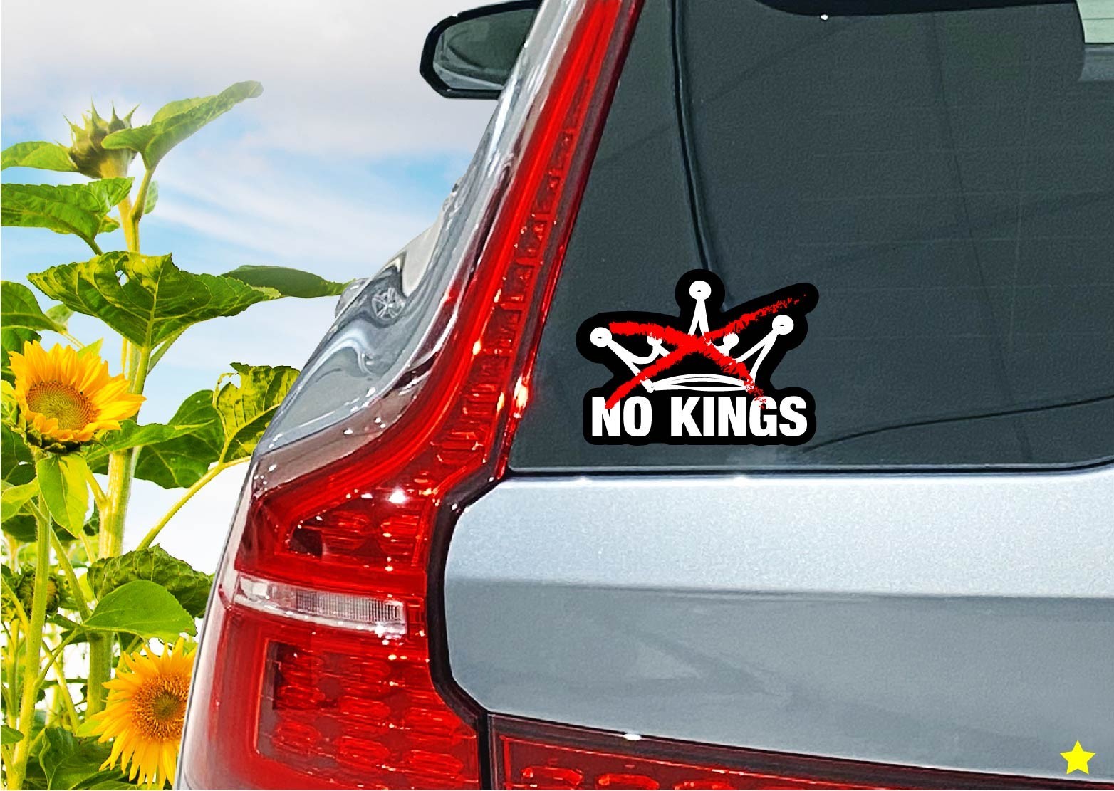 No Kings Decal Sticker Protest Anti MAGA Trump Ice 47 King Peaceful Crown FDT