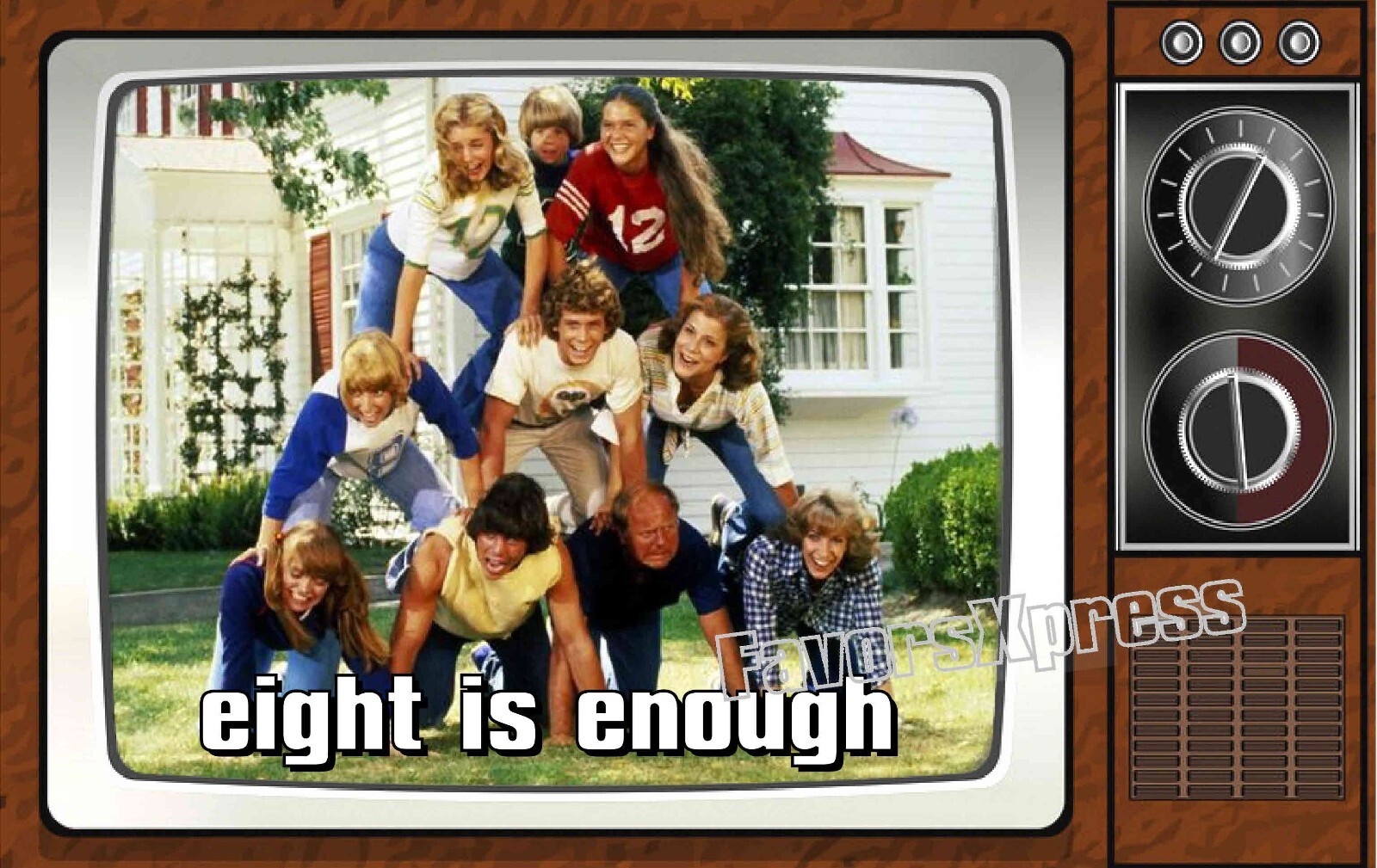Eight is Enough Classic TV Show PHOTO MAGNET 4 X 2.5 INCHES