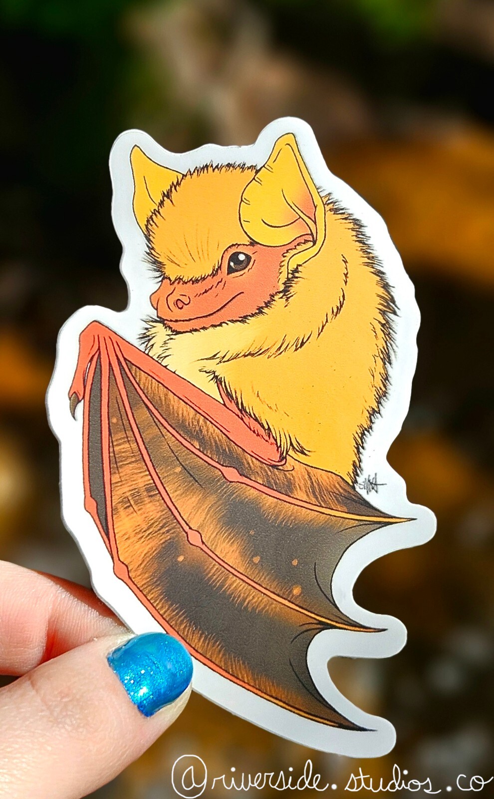 Painted Butterfly Bat Vinyl Sticker 3" Original Wildlife Art