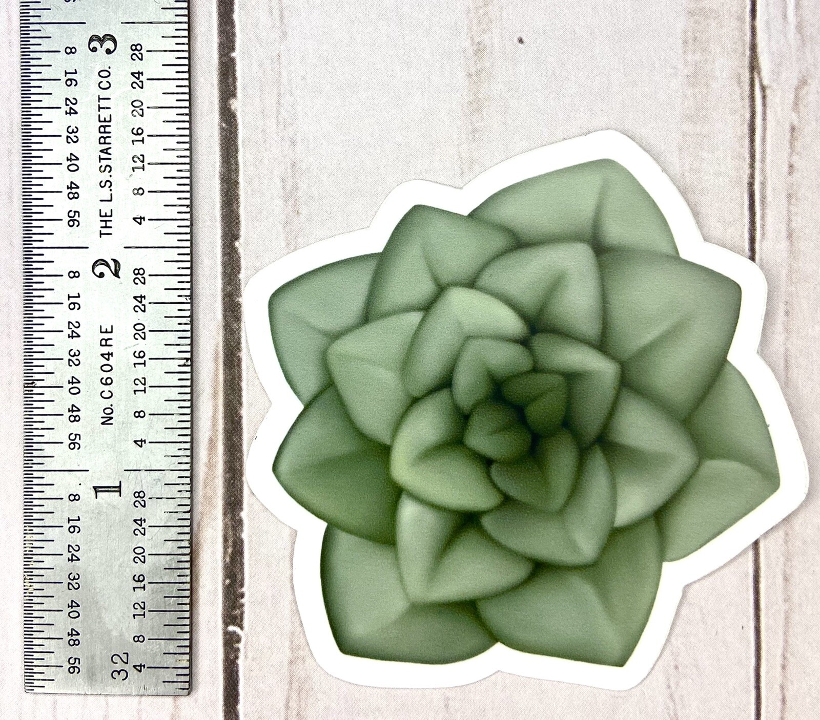 Hand-drawn Succulent Sticker – Sage Succulent – 2.5” X 2.5”