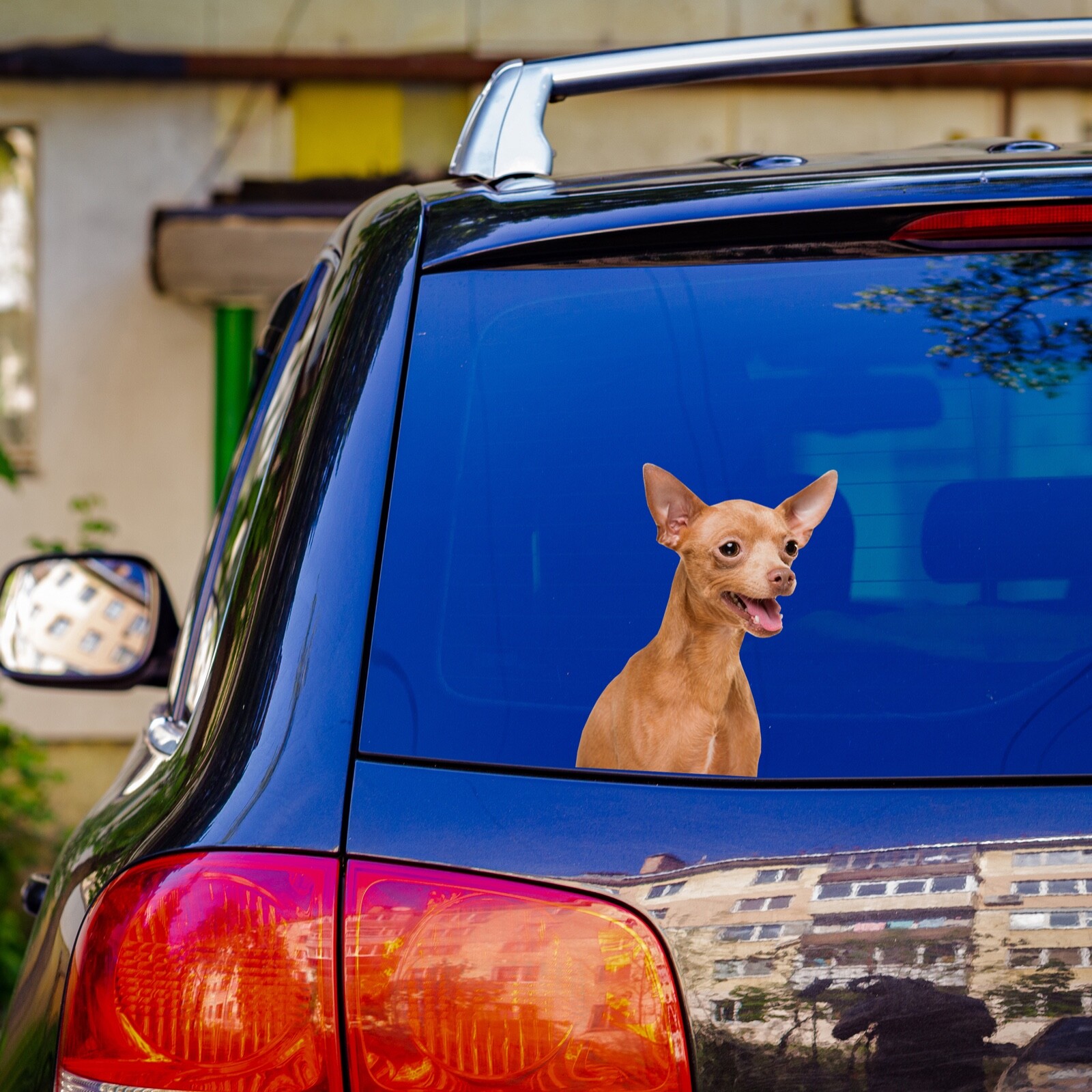 Smiling Cute Brown Chihuahua Sticker Car Decal Peeking Dog Vinyl Bumper Window