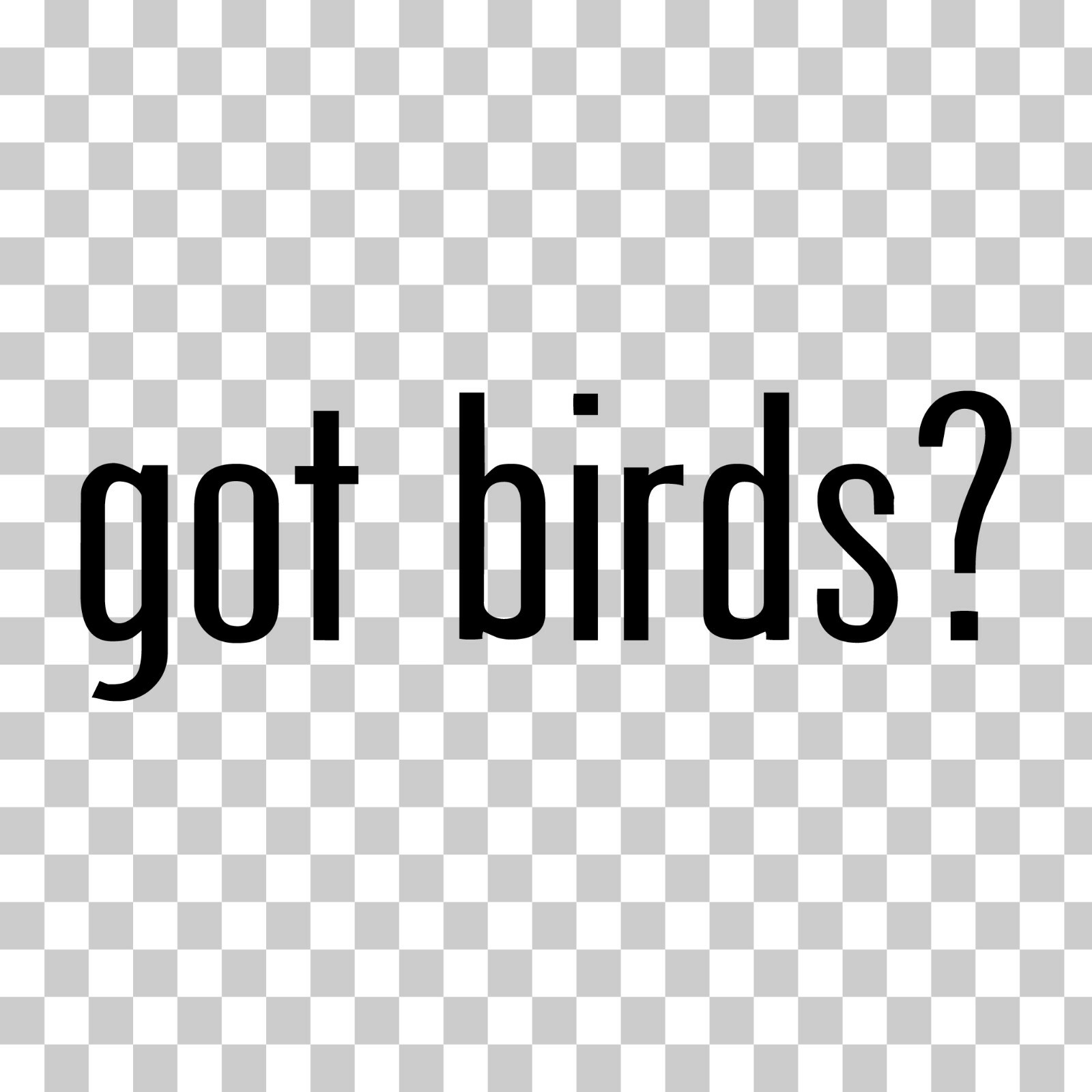 Got Birds? Custom Vinyl Sticker / Decal Bird Watcher, Nature, Wildlife, Animals