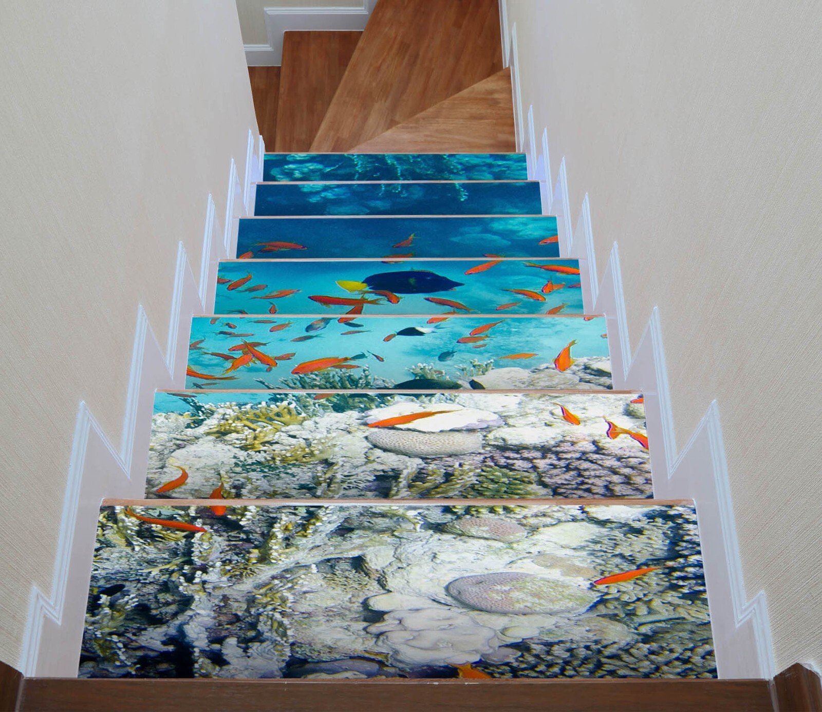 3D Coral Reef W075 Stairs Risers Decoration Photo Mural Vinyl Wallpaper Vera