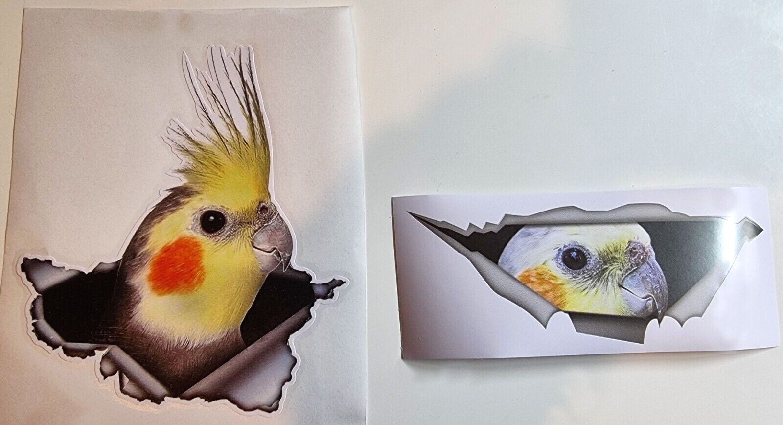 Cockatiel bird sticker, bird, parrot sticker for car laptop office room