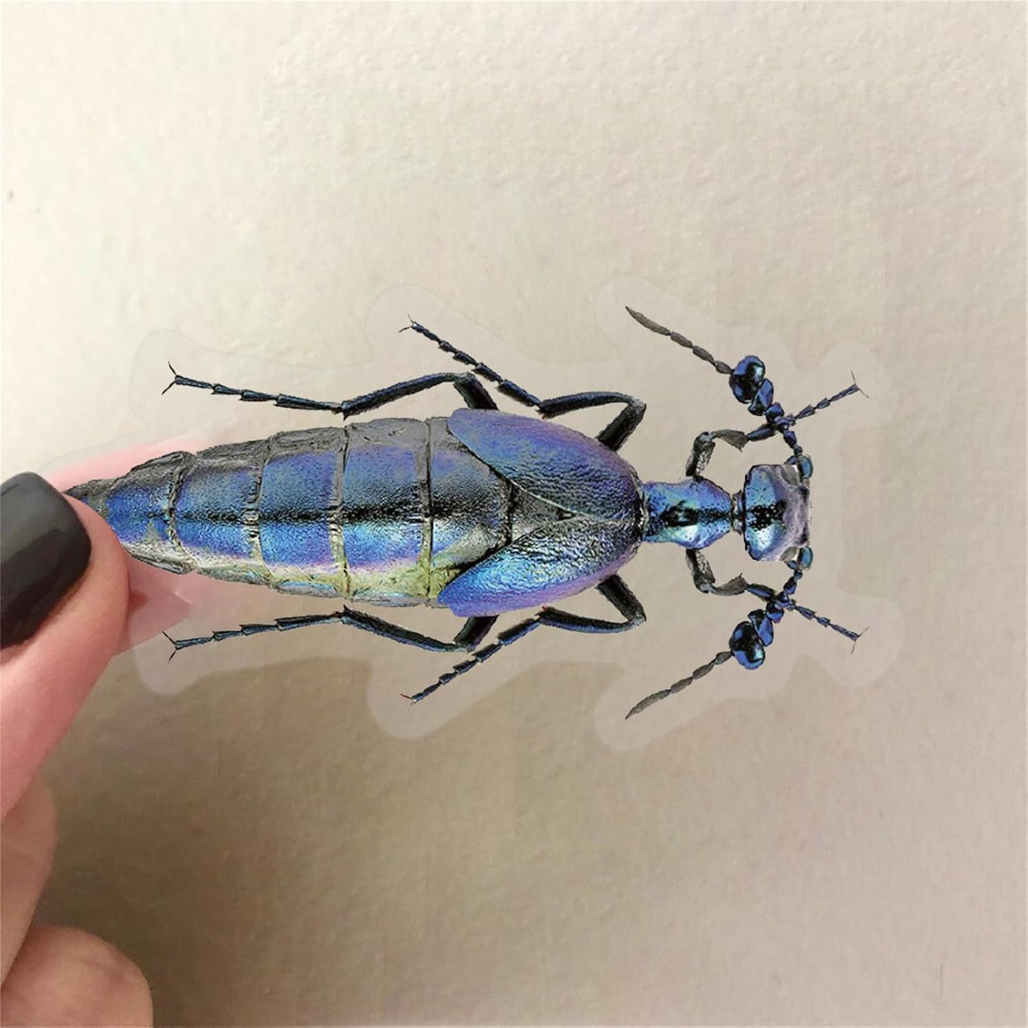 50PCS Insect Stickers PET Transparent Stickers Lifelike Nature World Decals Wate