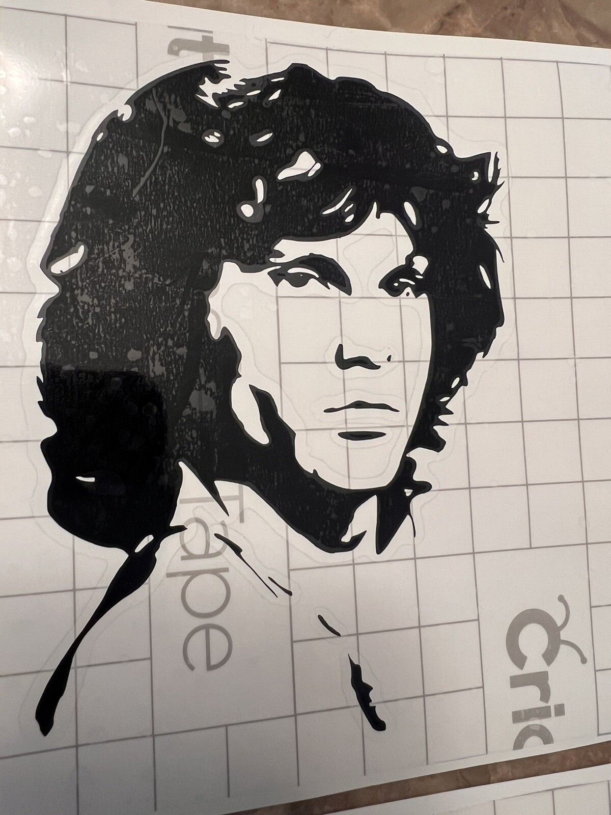 The Doors decal vinyl. High Quality Vinyl. SEE DESCRIPTION