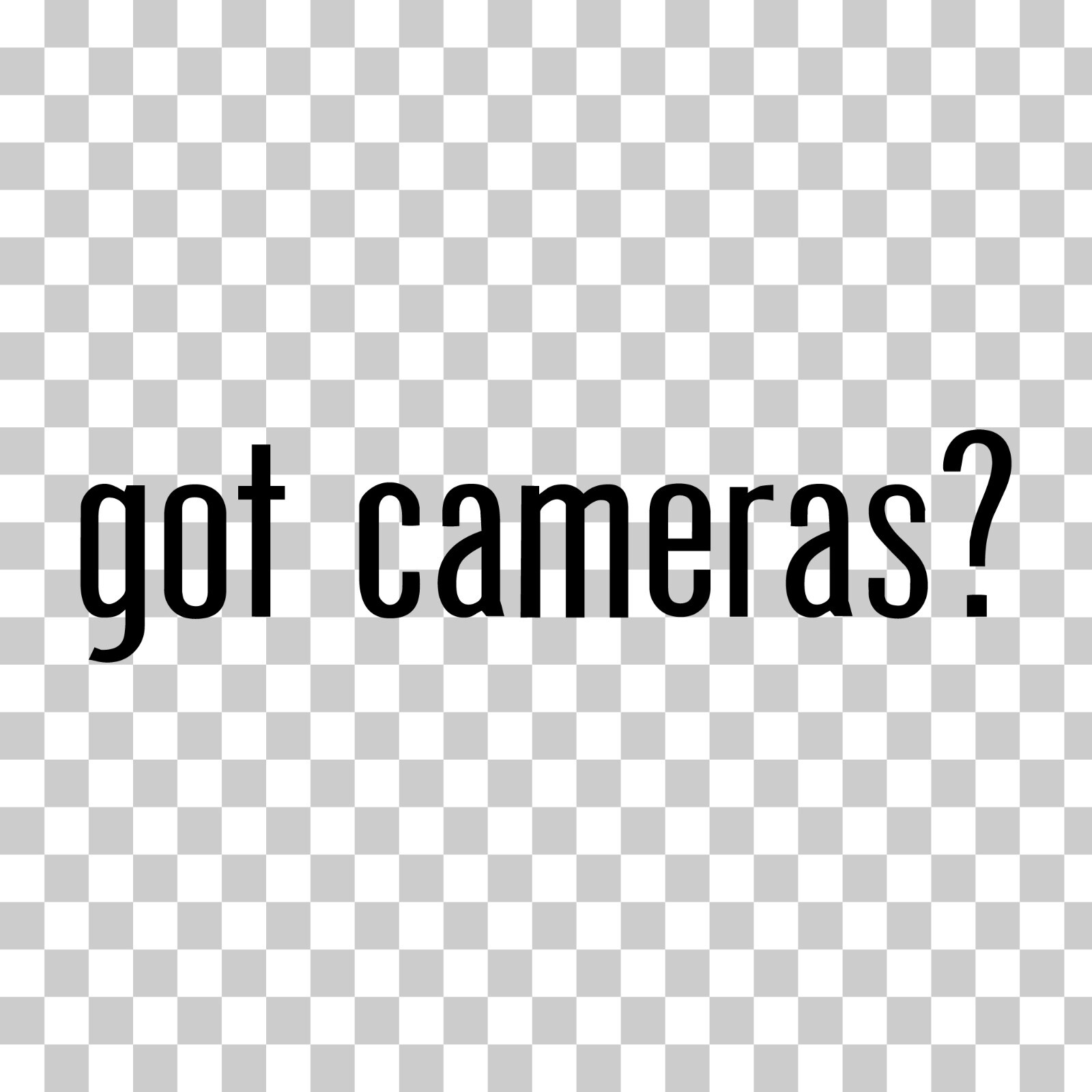 Got Cameras? Custom Vinyl Sticker Decal Photography DSLR Video Film