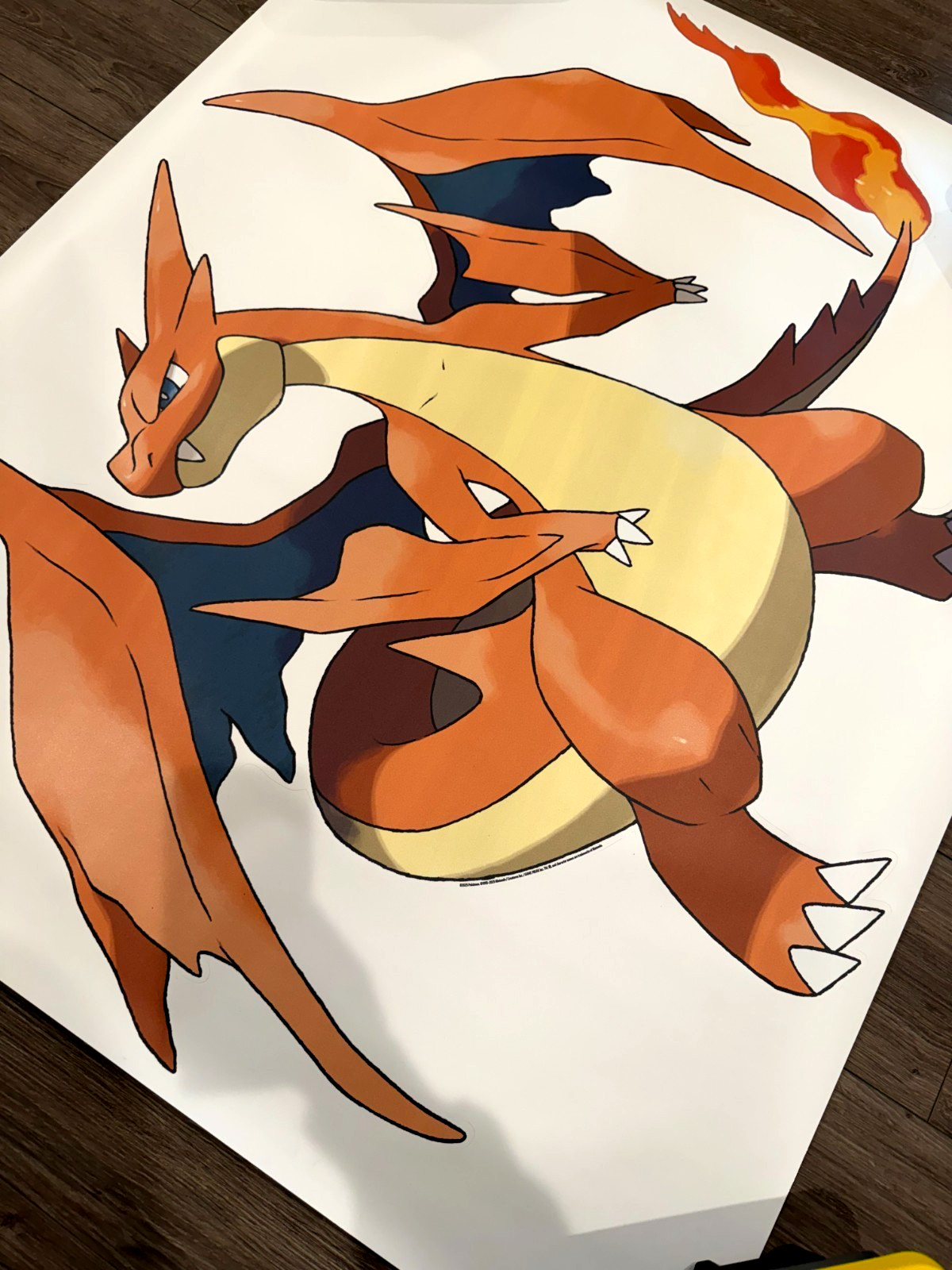 Pokémon TCG Mega Charizard Y Marketing Kit Vinyl Decal Mega Evolution 41" X 49"