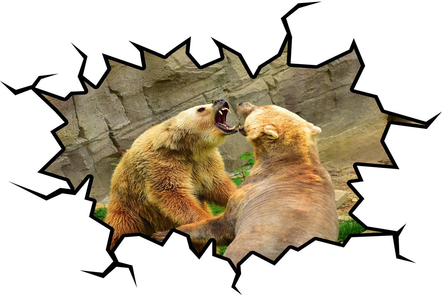 Grizzly Bear Wall Decal Crack in the Wall Zoo Animal Peel & Stick Mural VWAQ – W
