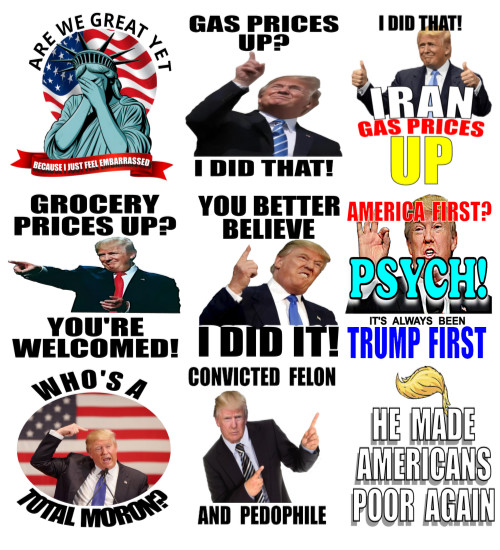 9pc Assorted Anti Trump Vinyl Stickers, Die Cut, Durable, 1.75"W x 1.75"H