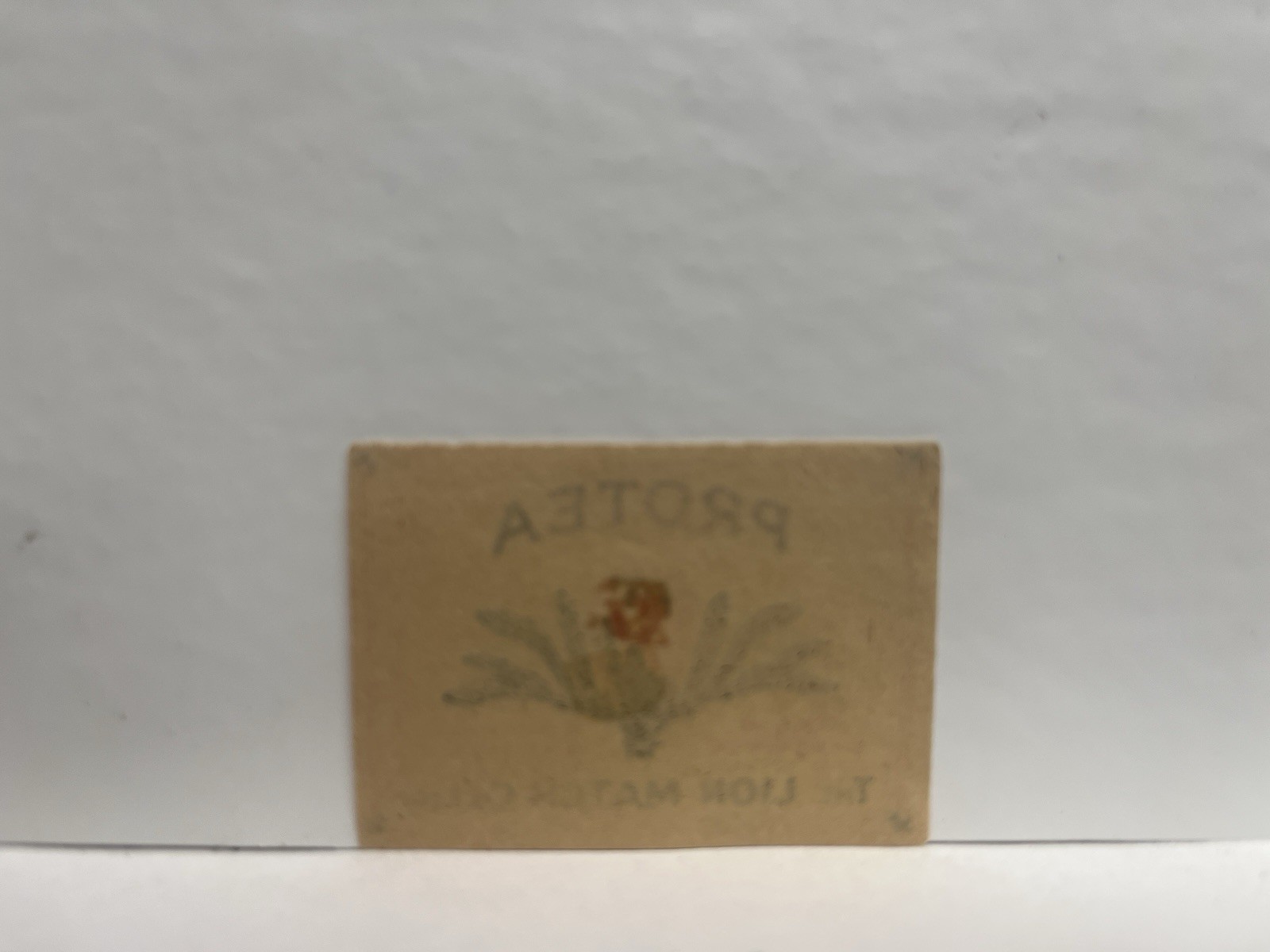 Protea Lion Match Co. Mini Label 1.5 x 2.5 Made in South Africa