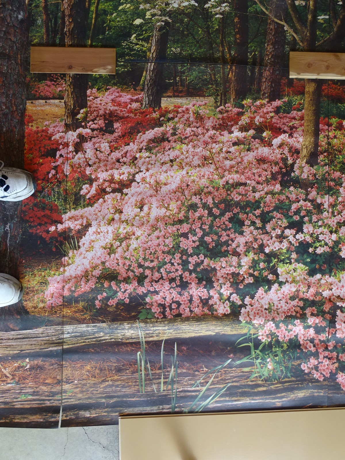 Full Wall Photo Mural Azaleas & Dogwoods Trees Railroad Track 8’ 8” x 12’ 6” NOS