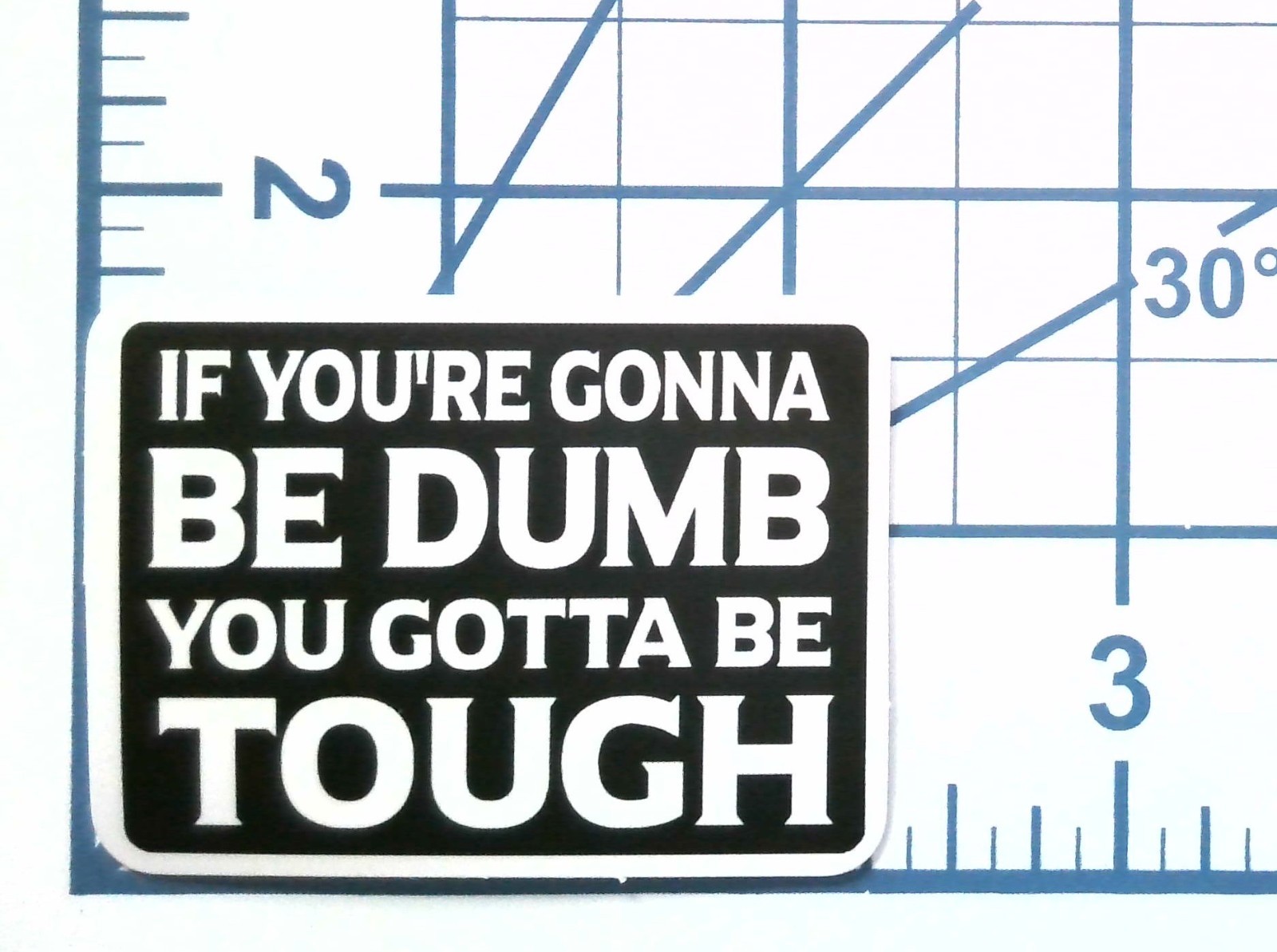 If You're Gonna Be Dumb You Gotta Be Tough Sticker Vinyl Decal Funny Quote Gift