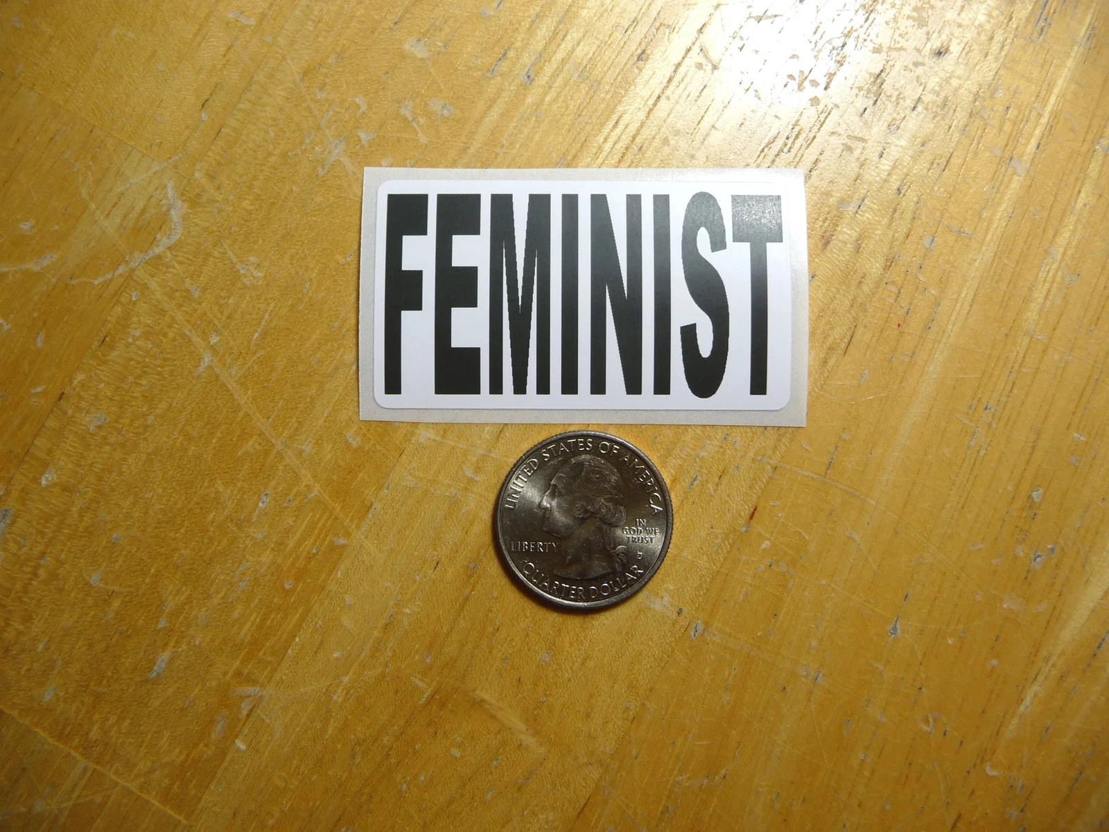 FEMINIST STICKER DECAL 1 – 50 BULK PACK FUNNY WOMENS RIGHTS SUPPORT