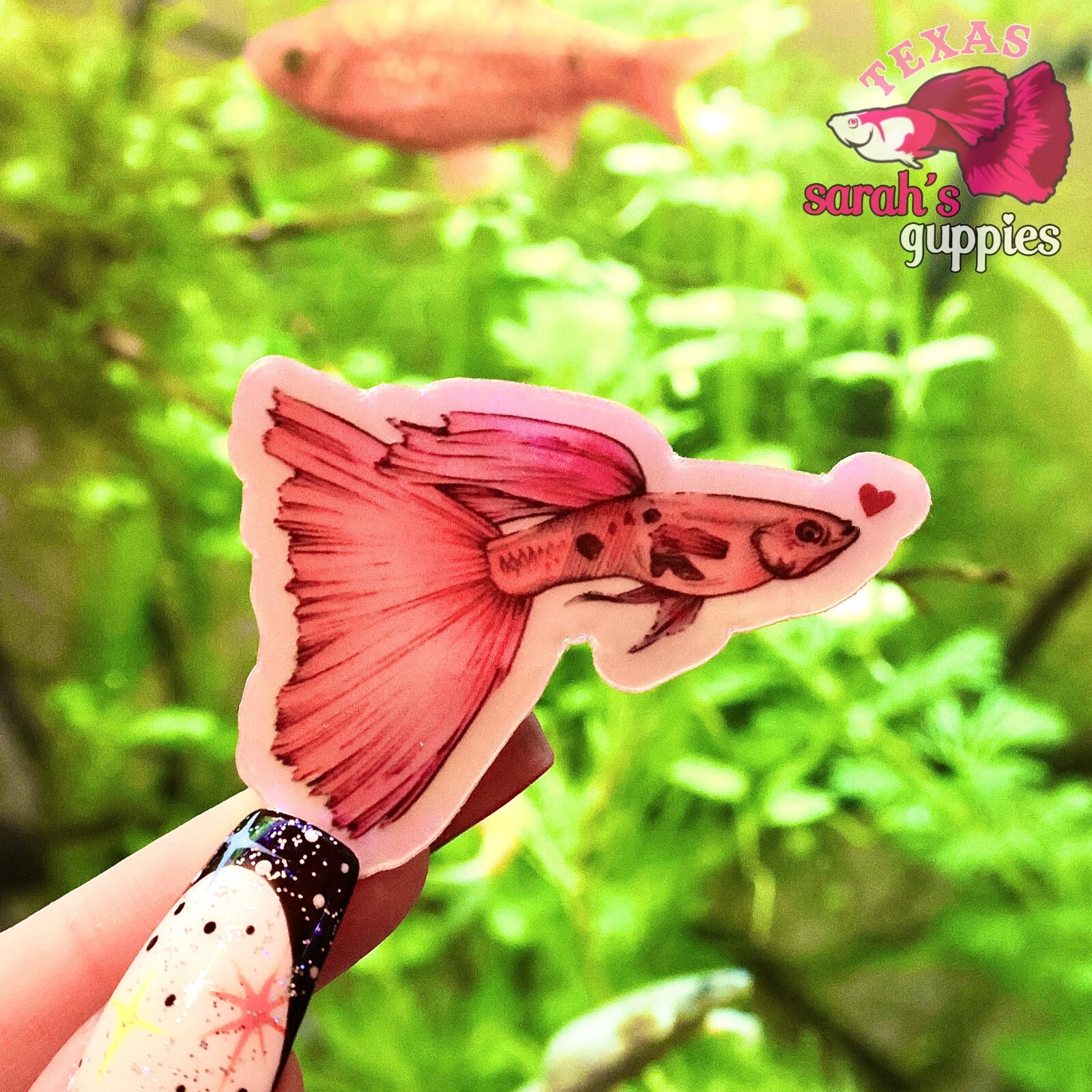 Pink Guppy Heart Sticker: Holographic🐠💕 Sarah's Guppies Homemade Designed